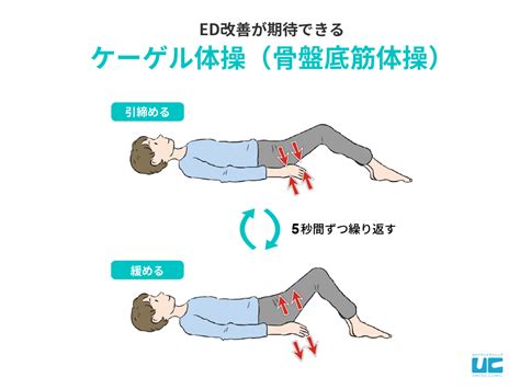 ed 運動不足|EDは運動で改善できる？「治った」の声が多い筋ト。